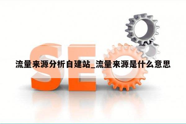 流量来源分析自建站_流量来源是什么意思