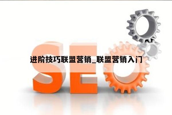 进阶技巧联盟营销_联盟营销入门