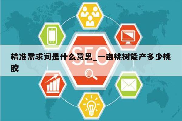 精准需求词是什么意思_一亩桃树能产多少桃胶