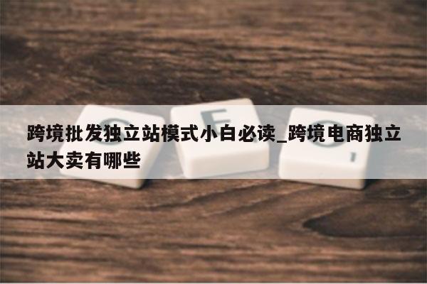 跨境批发独立站模式小白必读_跨境电商独立站大卖有哪些
