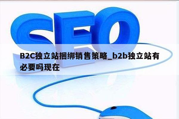 B2C独立站捆绑销售策略_b2b独立站有必要吗现在