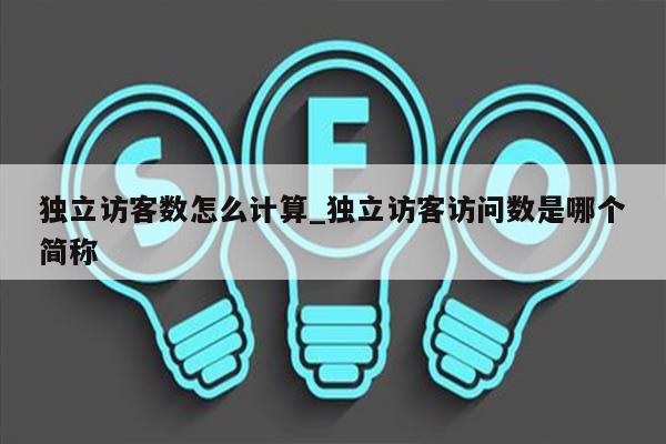 独立访客数怎么计算_独立访客访问数是哪个简称