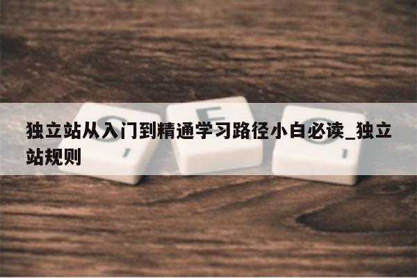 独立站从入门到精通学习路径小白必读_独立站规则