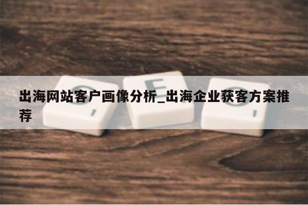 出海网站客户画像分析_出海企业获客方案推荐