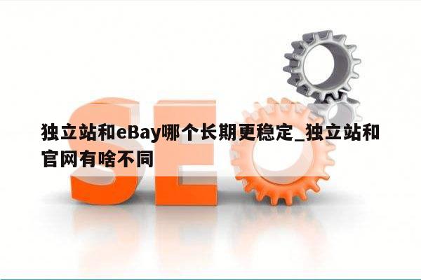 独立站和eBay哪个长期更稳定_独立站和官网有啥不同