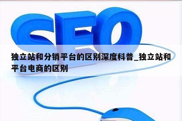 独立站和分销平台的区别深度科普_独立站和平台电商的区别