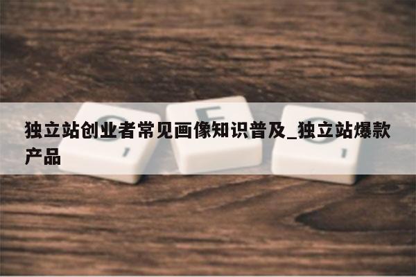 独立站创业者常见画像知识普及_独立站爆款产品