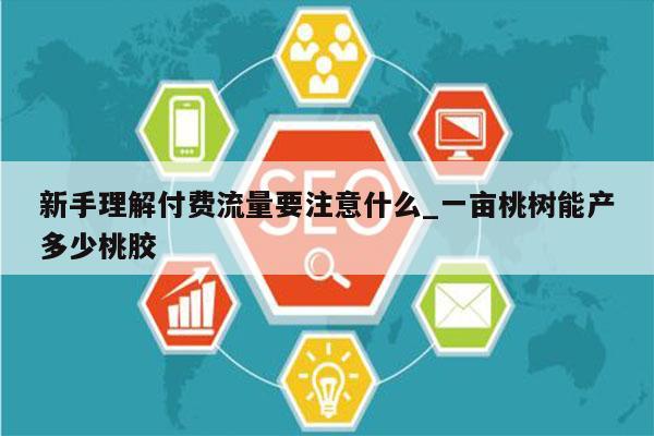 新手理解付费流量要注意什么_一亩桃树能产多少桃胶