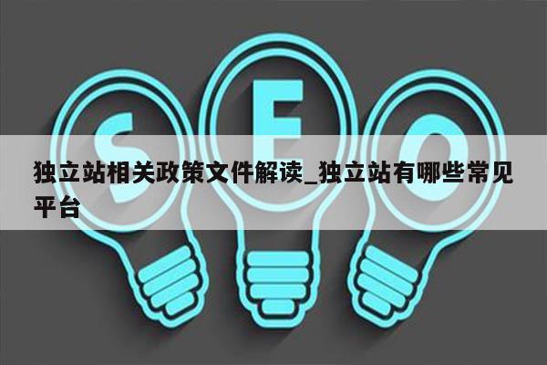 独立站相关政策文件解读_独立站有哪些常见平台