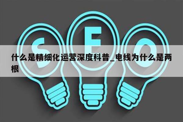 什么是精细化运营深度科普_电线为什么是两根