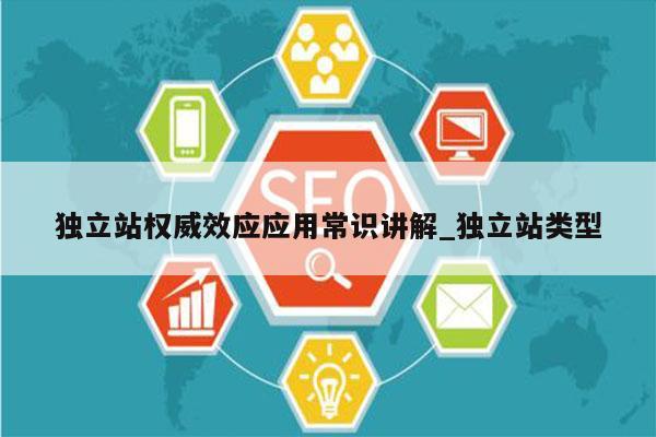 独立站权威效应应用常识讲解_独立站类型