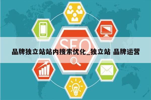 品牌独立站站内搜索优化_独立站 品牌运营