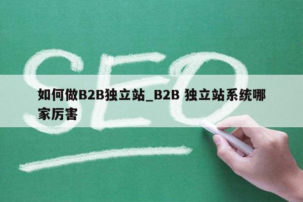 如何做B2B独立站_B2B 独立站系统哪家厉害