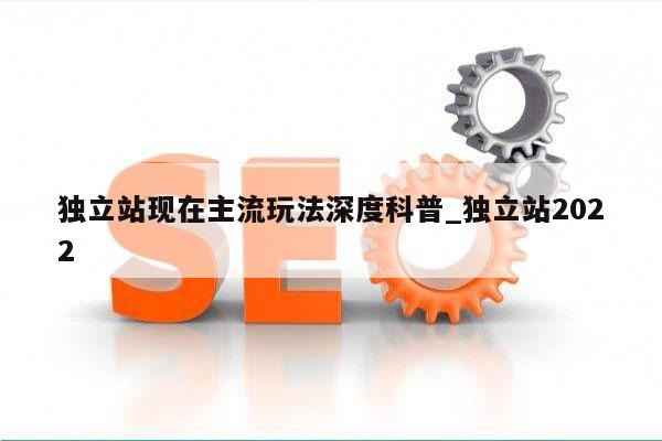 独立站现在主流玩法深度科普_独立站2022