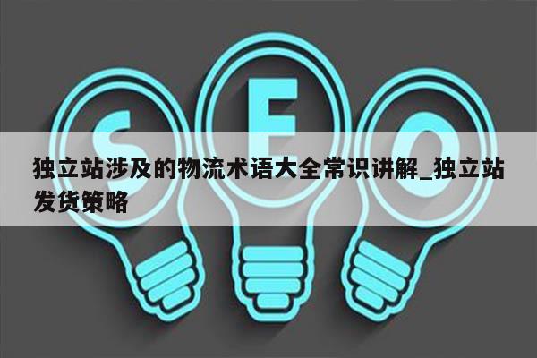 独立站涉及的物流术语大全常识讲解_独立站发货策略