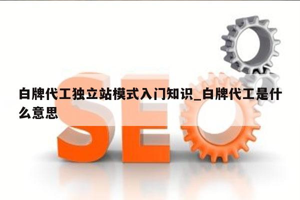 白牌代工独立站模式入门知识_白牌代工是什么意思