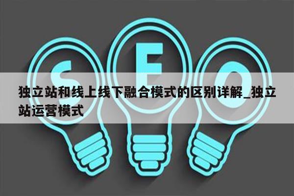 独立站和线上线下融合模式的区别详解_独立站运营模式