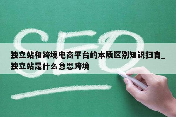 独立站和跨境电商平台的本质区别知识扫盲_独立站是什么意思跨境