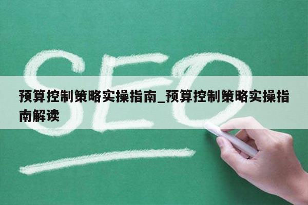 预算控制策略实操指南_预算控制策略实操指南解读