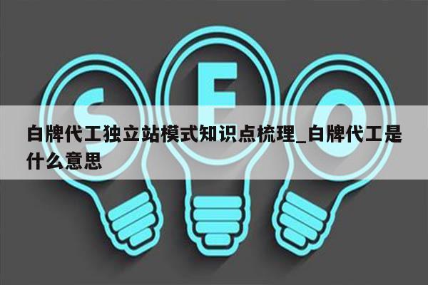 白牌代工独立站模式知识点梳理_白牌代工是什么意思