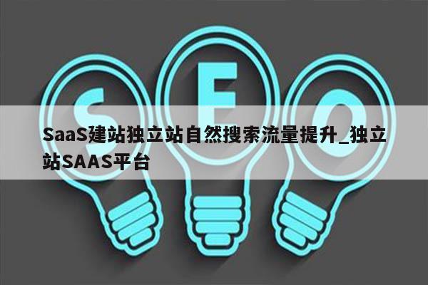 SaaS建站独立站自然搜索流量提升_独立站SAAS平台
