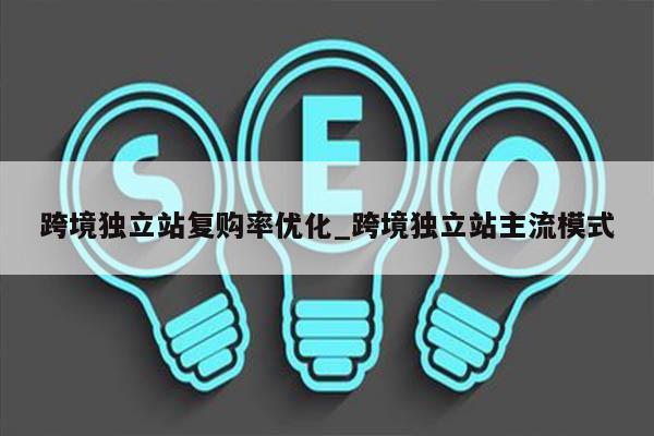 跨境独立站复购率优化_跨境独立站主流模式