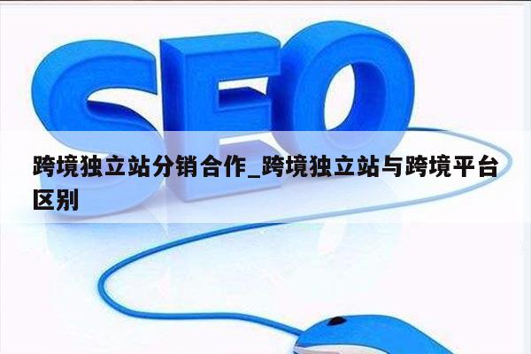 跨境独立站分销合作_跨境独立站与跨境平台区别