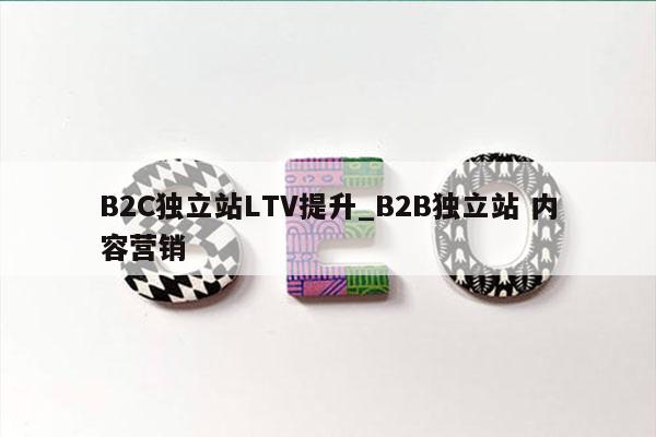 B2C独立站LTV提升_B2B独立站 内容营销