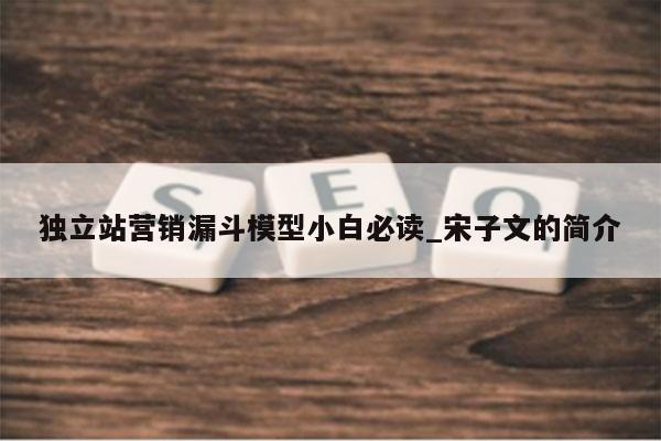独立站营销漏斗模型小白必读_宋子文的简介
