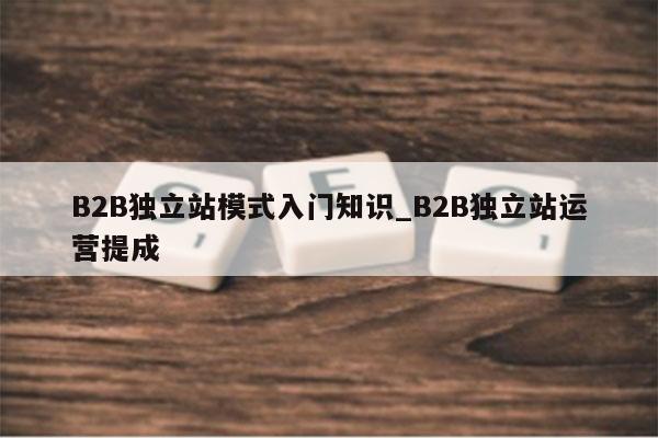 B2B独立站模式入门知识_B2B独立站运营提成