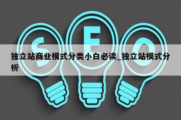 独立站商业模式分类小白必读_独立站模式分析
