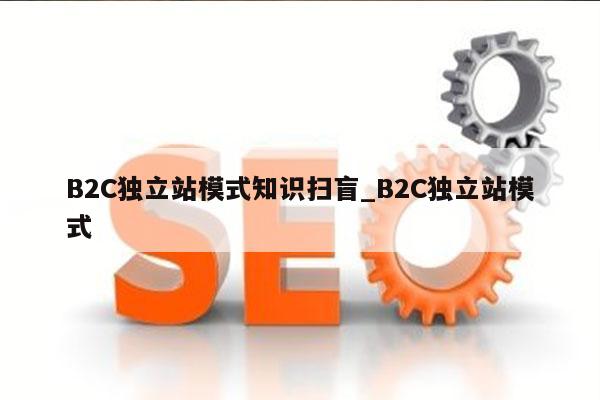 B2C独立站模式知识扫盲_B2C独立站模式