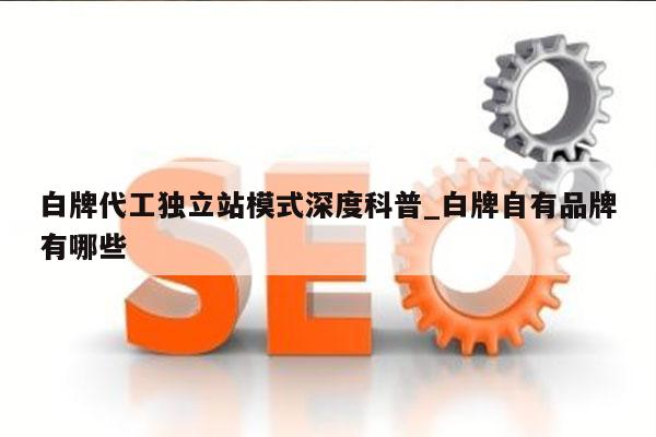 白牌代工独立站模式深度科普_白牌自有品牌有哪些
