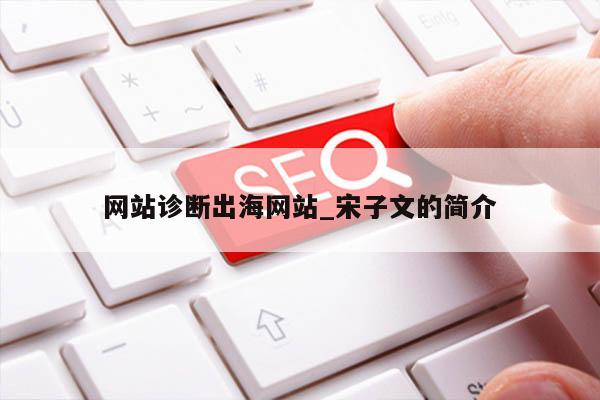 网站诊断出海网站_宋子文的简介