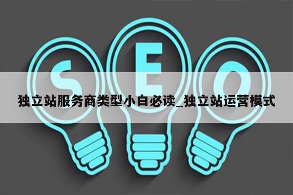独立站服务商类型小白必读_独立站运营模式
