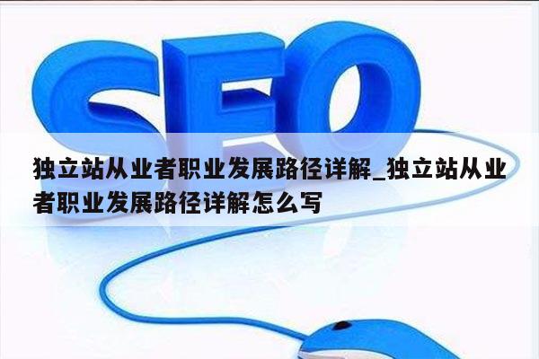 独立站从业者职业发展路径详解_独立站从业者职业发展路径详解怎么写