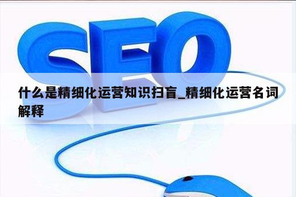 什么是精细化运营知识扫盲_精细化运营名词解释