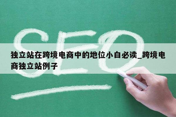 独立站在跨境电商中的地位小白必读_跨境电商独立站例子