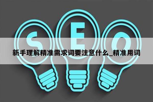 新手理解精准需求词要注意什么_精准用词