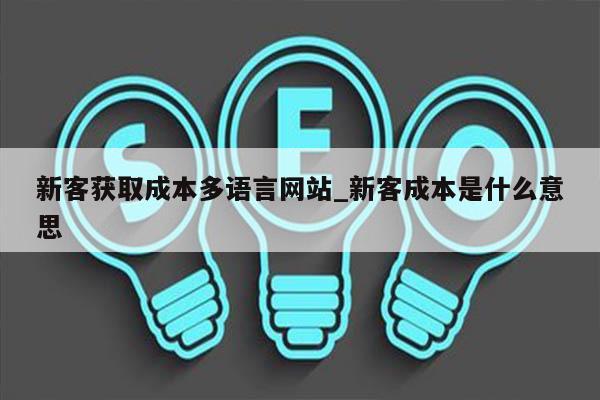 新客获取成本多语言网站_新客成本是什么意思