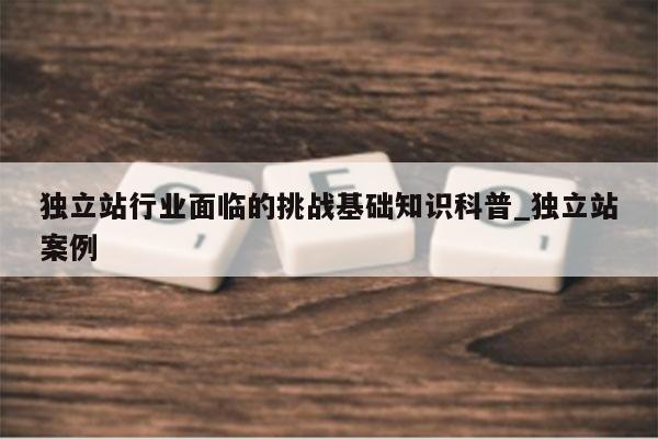 独立站行业面临的挑战基础知识科普_独立站案例