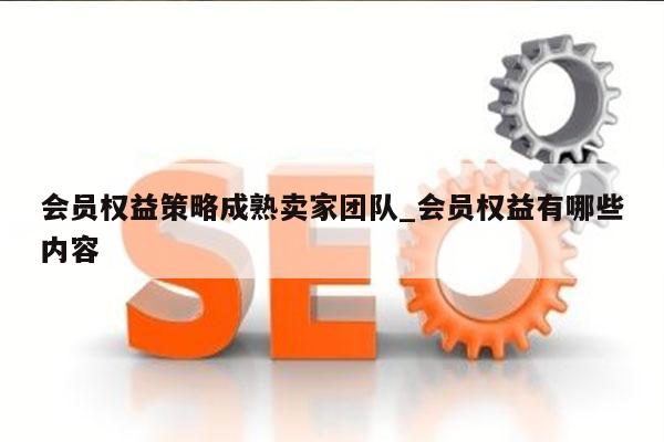 会员权益策略成熟卖家团队_会员权益有哪些内容
