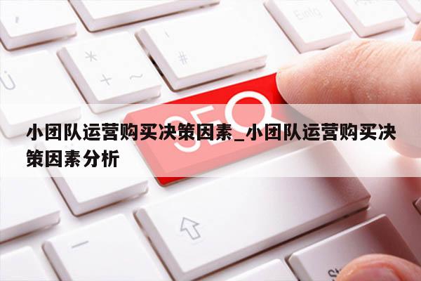 小团队运营购买决策因素_小团队运营购买决策因素分析