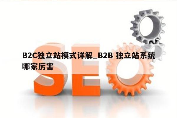 B2C独立站模式详解_B2B 独立站系统哪家厉害