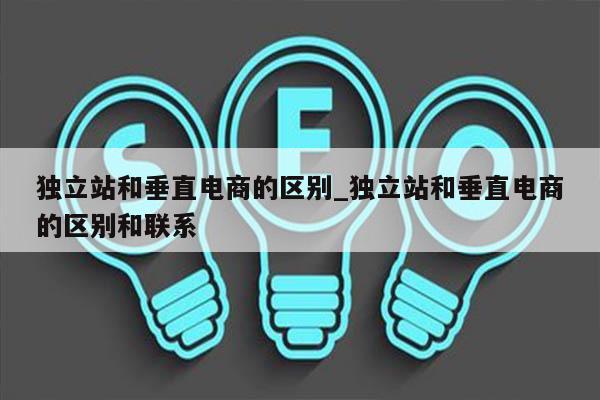 独立站和垂直电商的区别_独立站和垂直电商的区别和联系