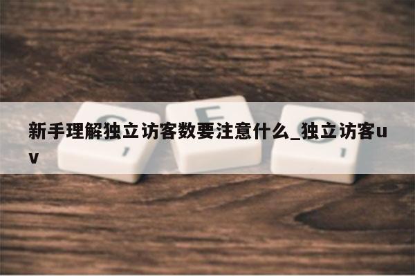 新手理解独立访客数要注意什么_独立访客uv