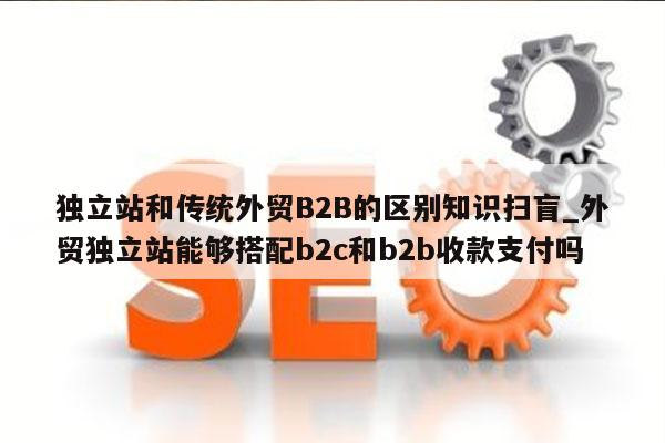 独立站和传统外贸B2B的区别知识扫盲_外贸独立站能够搭配b2c和b2b收款支付吗