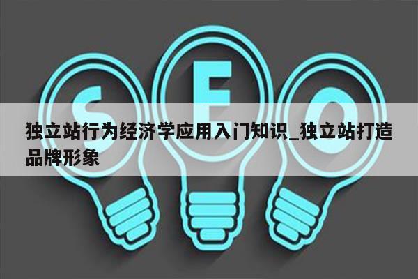 独立站行为经济学应用入门知识_独立站打造品牌形象