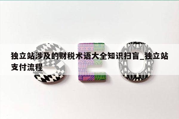 独立站涉及的财税术语大全知识扫盲_独立站支付流程