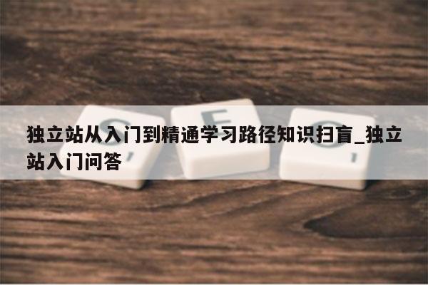 独立站从入门到精通学习路径知识扫盲_独立站入门问答